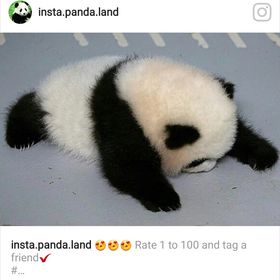 Profile Picture of Marsha Asquith (@asquith3583) on Pinterest