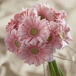 Profile Picture of Stevanie (@stevanisuharti4) on Instagram