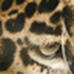 Profile Picture of Mark Allen Studios (@mark allen studios) on Flickr