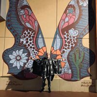 Jacob Berends - Quora Profile Picture of Jacob Berends (@jacob-berends) on Quora