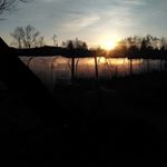 Profile Picture of Olivier, Béa, Suzanne et Adèle (@familleperrinlanglet) on Instagram