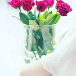 Profile Picture of crystal winter (@mira.mirane.351) on Instagram