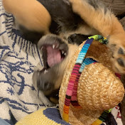 Profile Picture of Adrian Dooley (@adriandooley3044) on Youtube