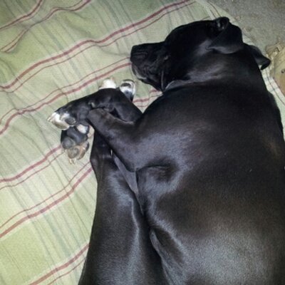 Profile Picture of Jason McEwan (@JasonMcEwan512) on Twitter