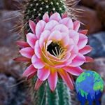 Profile Picture of Melanie Rogge (@melanie.rogge.940) on Instagram