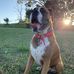 Profile Picture of Craig Denning (@craig.denning.54) on Facebook
