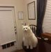 Profile Picture of Kevin Sawyer (@kevin.sawyer.77) on Facebook