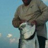 Profile Picture of Bill Hoffman (@flatlinecharter) on Instagram