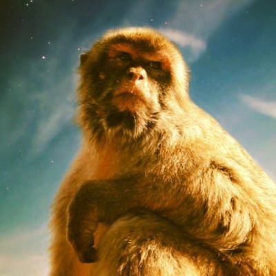 Profile Picture of Linton Marktolly (@angel_tolly) on Twitter