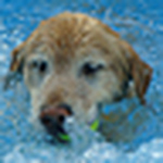 Profile Picture of Nancy Murphy (@Nancy Murphy2011) on Flickr