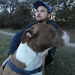 Profile Picture of Terry Wellman (@liltwel) on Instagram