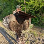 Profile Picture of Todd Wade Harris (@twade82) on Instagram