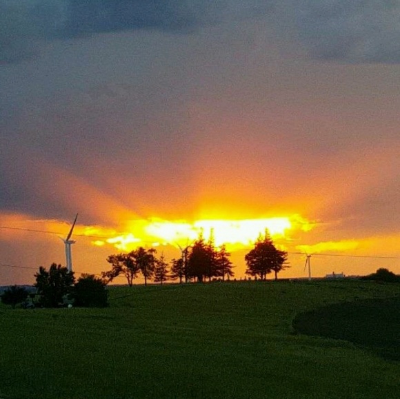 Profile Picture of Hannah Ertmer (@doughnutgirl) on Poshmark