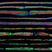 Profile Picture of Sebastian Barrientos (@barryjuait) on Youtube