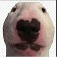 Profile Picture of Ben Conover (@ben-conover-8) on Quora