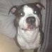 Profile Picture of Marc Toledo (@marc.toledo.5817) on Facebook
