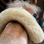 Profile Picture of Jana Meisterhans (@janameisterhans) on Instagram