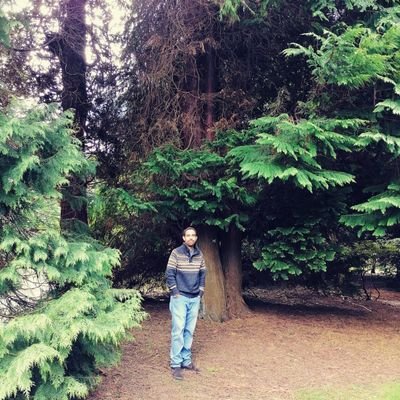 Profile Picture of Matthew Gomes (@matthewddsg) on Twitter