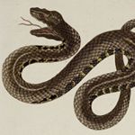 Profile Picture of Paula Navarro (@pauula_navarro) on Instagram