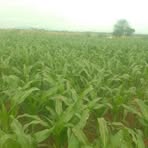 Man Jacob - Facebook Profile Picture of Man Jacob (@Man-Jacob) on Facebook