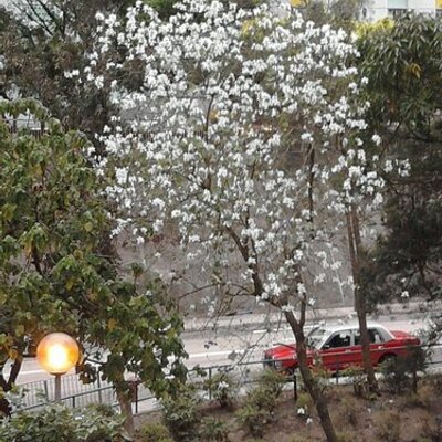 Profile Picture of Kelvin Yu (@kelvinyu97) on Twitter