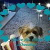Profile Picture of Karen Rock (@@karenrock25) on Tiktok