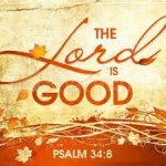 cody_murley - Instagram Profile Picture of cody_murley (@cody_murley) on Instagram