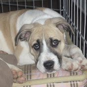 Profile Picture of Hailey Armstrong (@Haileysportygal8713) on Youtube