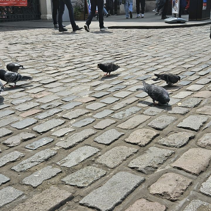 Profile Picture of Annette Davidson (@annetted10) on Tiktok