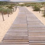 Richard Aznar - Instagram Profile Picture of Richard Aznar (@richard_aznar) on Instagram