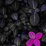 Profile Picture of James Topfresh Mulenga (@mulenga2683) on Instagram