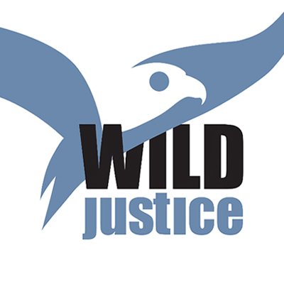 Profile Picture of Wild Justice (@WildJustice_org) on Twitter