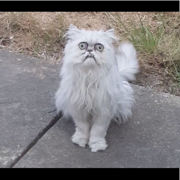 Profile Picture of John Hawk (@john5568) on Poshmark