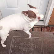 Profile Picture of Alex Neville (@alexneville5746) on Youtube