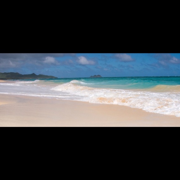 Profile Picture of Ed Lucyk (@ednsil) on Poshmark