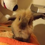Profile Picture of Joe Allbright (@allbrightjoe) on Instagram