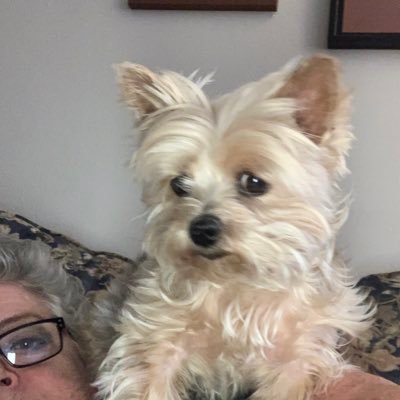 Profile Picture of Catherine McIsaac (@imPhoebesmommy) on Twitter