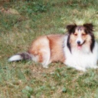 Profile Picture of Alex Rand (@alex-rand-11) on Quora