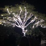 Profile Picture of Chris Bettis (@topherbett686) on Instagram