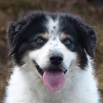 Profile Picture of John Macdougall (@john.macdougall.146) on Facebook