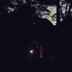 Profile Picture of Steven Lillis (@steven_lillis) on Instagram