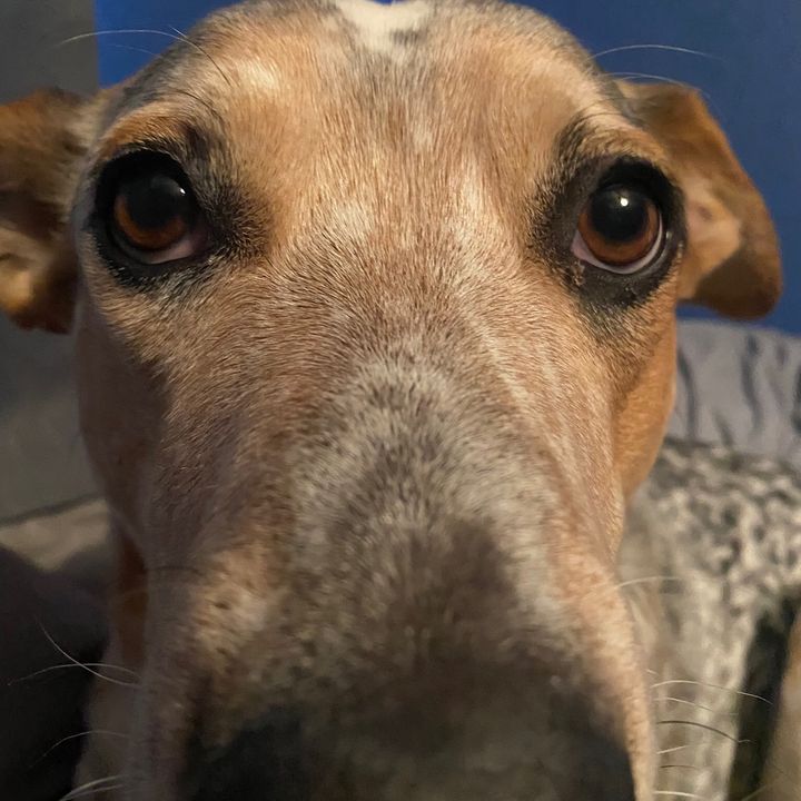 Profile Picture of user7410396042652 (@@eric_down) on Tiktok