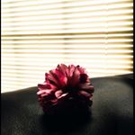 Profile Picture of Danny Luu (@igtdanny) on Instagram