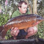 Profile Picture of David Bird (@davidbird511) on Instagram