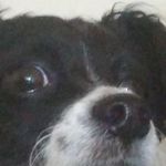 Profile Picture of Alissa & Sebastian (@thshsusjwj) on Instagram