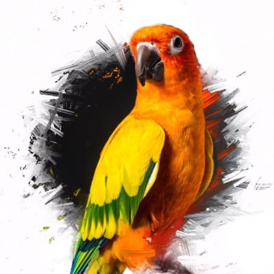 Profile Picture of Matthew Mcafee (@MatthewMcafee4) on Twitter