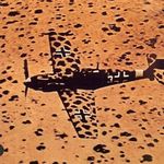 Profile Picture of Michael Bringer (@tygermyk1) on Instagram