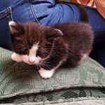 Profile Picture of Casey McGrail (@mcgrailcasey) on Instagram