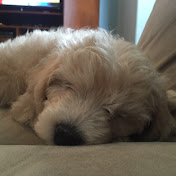 Profile Picture of James McCormick (@jamesmccormick5060) on Youtube