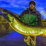 Profile Picture of Brad Carter (@bcart3r) on Instagram